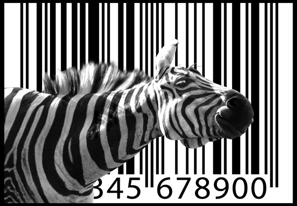 Про що нам говорять штрих-коди?