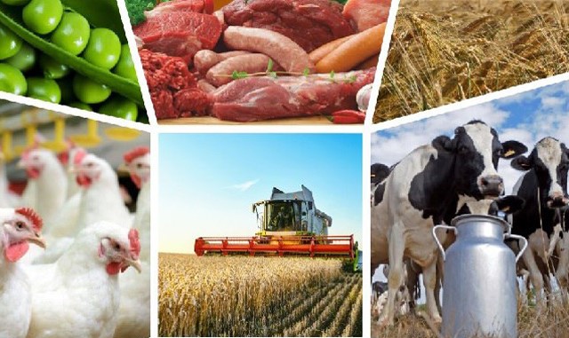 Україна завершила скринінг за розділом 11 «Сільське господарство та розвиток сільських територій»